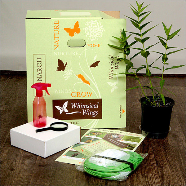 Whimsical Wings Monarch Butterfly Kit