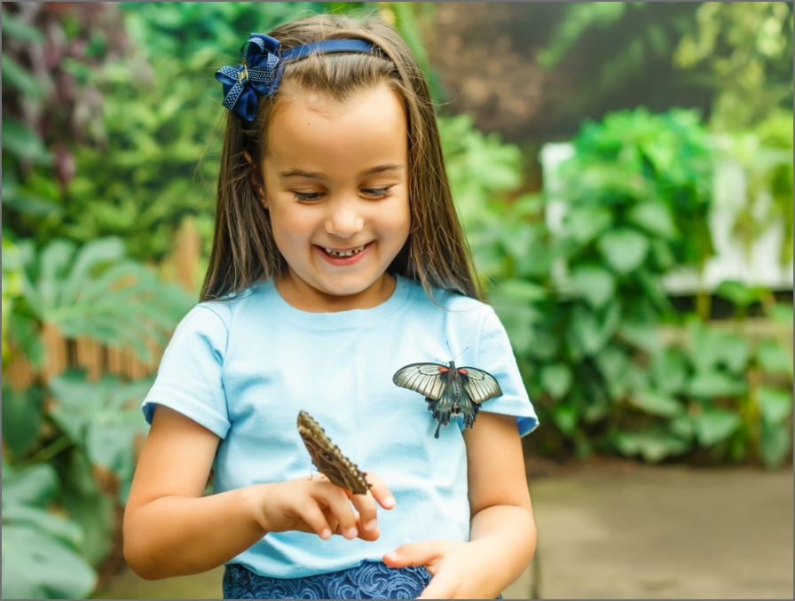 little girl with butterflies