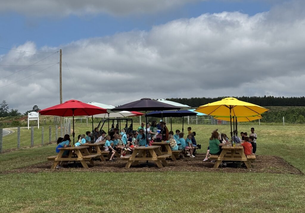 Outdoor picnic space for field trips to Whimsical Wings